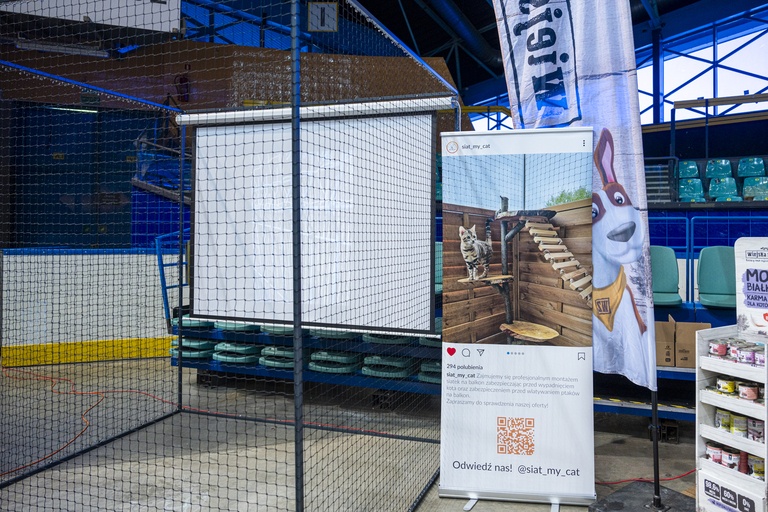 Międzynarodowa wystawa kotów rasowych w hali Orbita we Wrocławiu, 7-8 września 2024